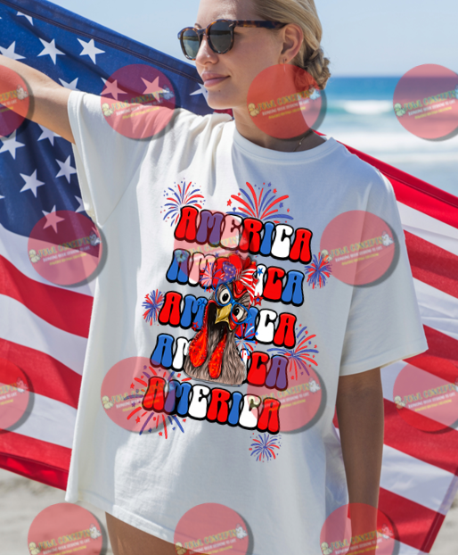 Patriotic America Chicken
